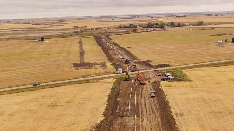 Yellow field with tractors